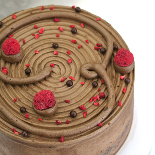 Chocolate raspberry cake zoomed