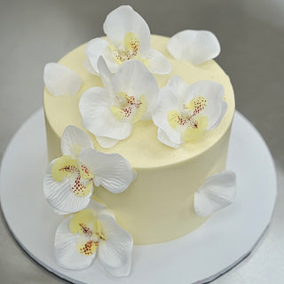 Orchid Floral Cake